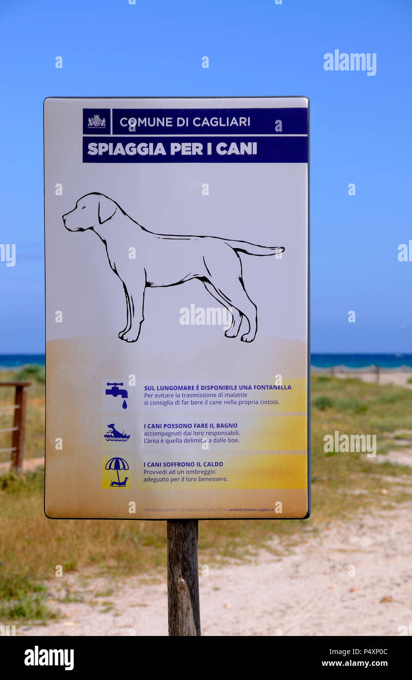 Reglas de la playa del perro fotografías e imágenes de alta resolución -  Alamy