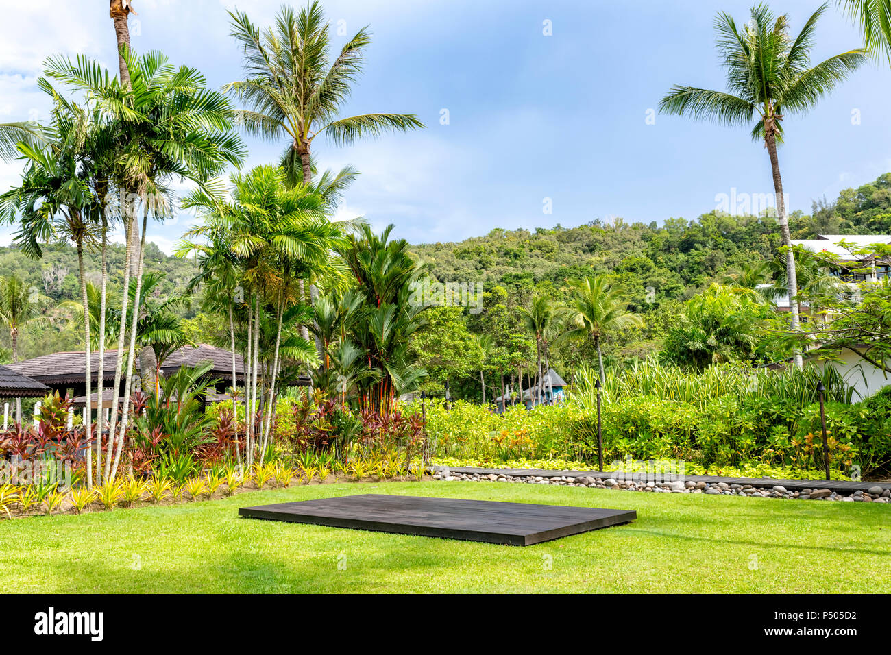 Palmeras y otra vegetación exótica contra un cielo azul en la isla de Borneo, Malasia Foto de stock
