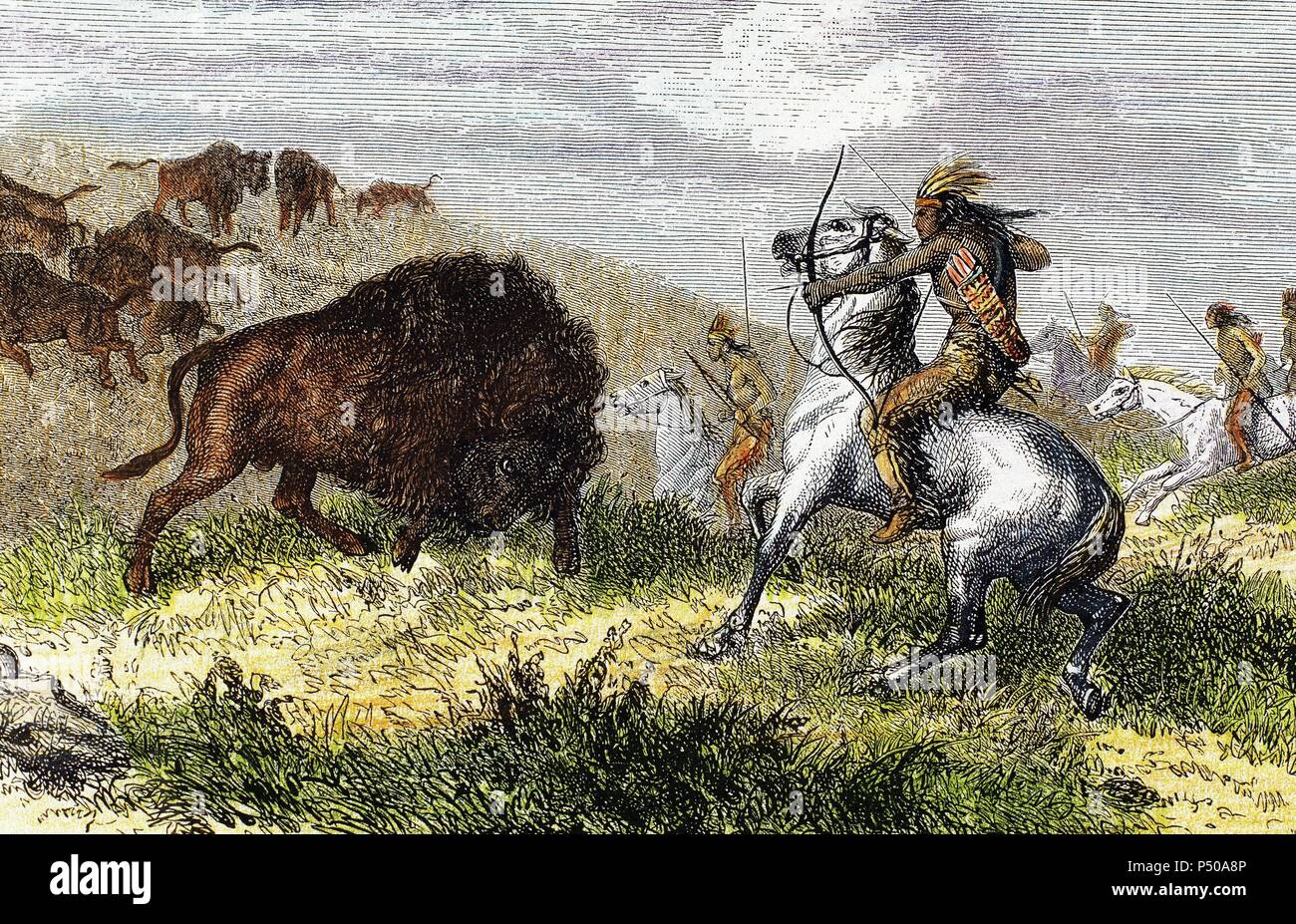 alaska bolsagage fees