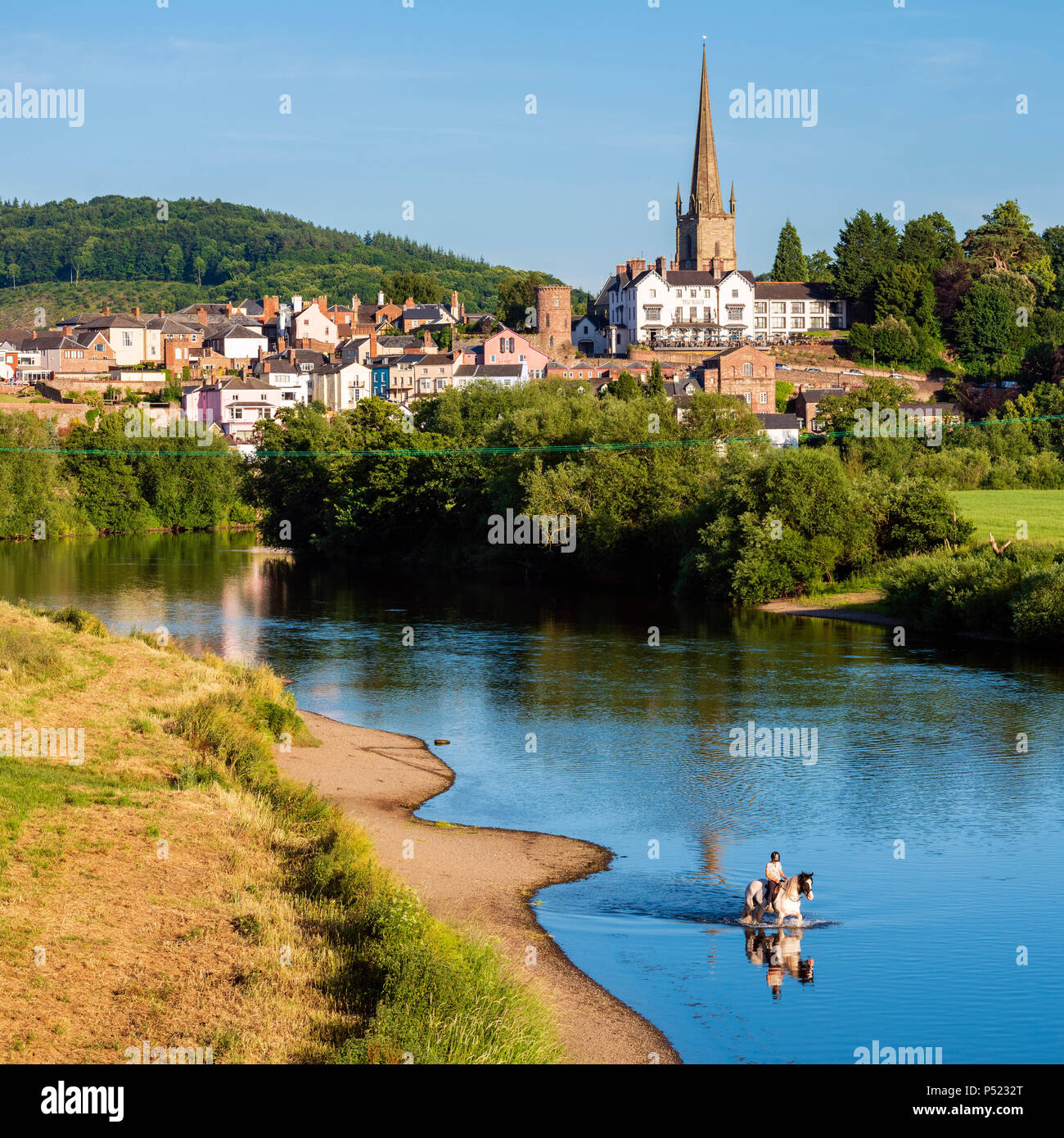 Ross On Wye, Herefordshire, Reino Unido. Fotografiado en una tarde de verano. Caballos y jinetes refrescarse en el río. Foto de stock