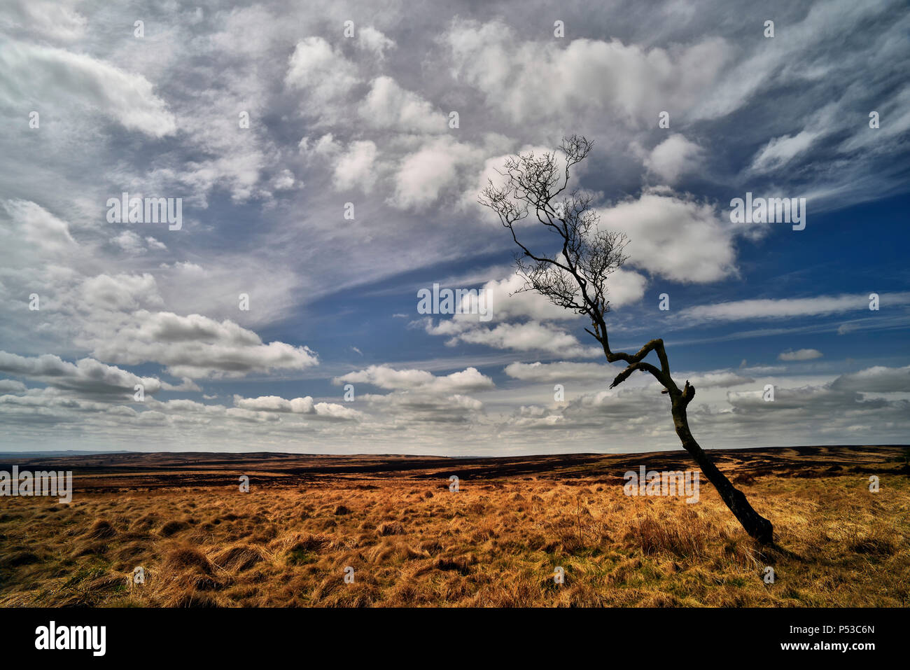 En Big Big Sky Moor Foto de stock