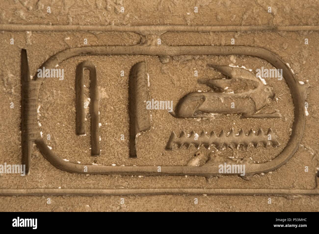Egipto. La necrópolis de Saqqara. La escritura jeroglífica. Cartucho. Alivio. Antiguo Reino. Foto de stock