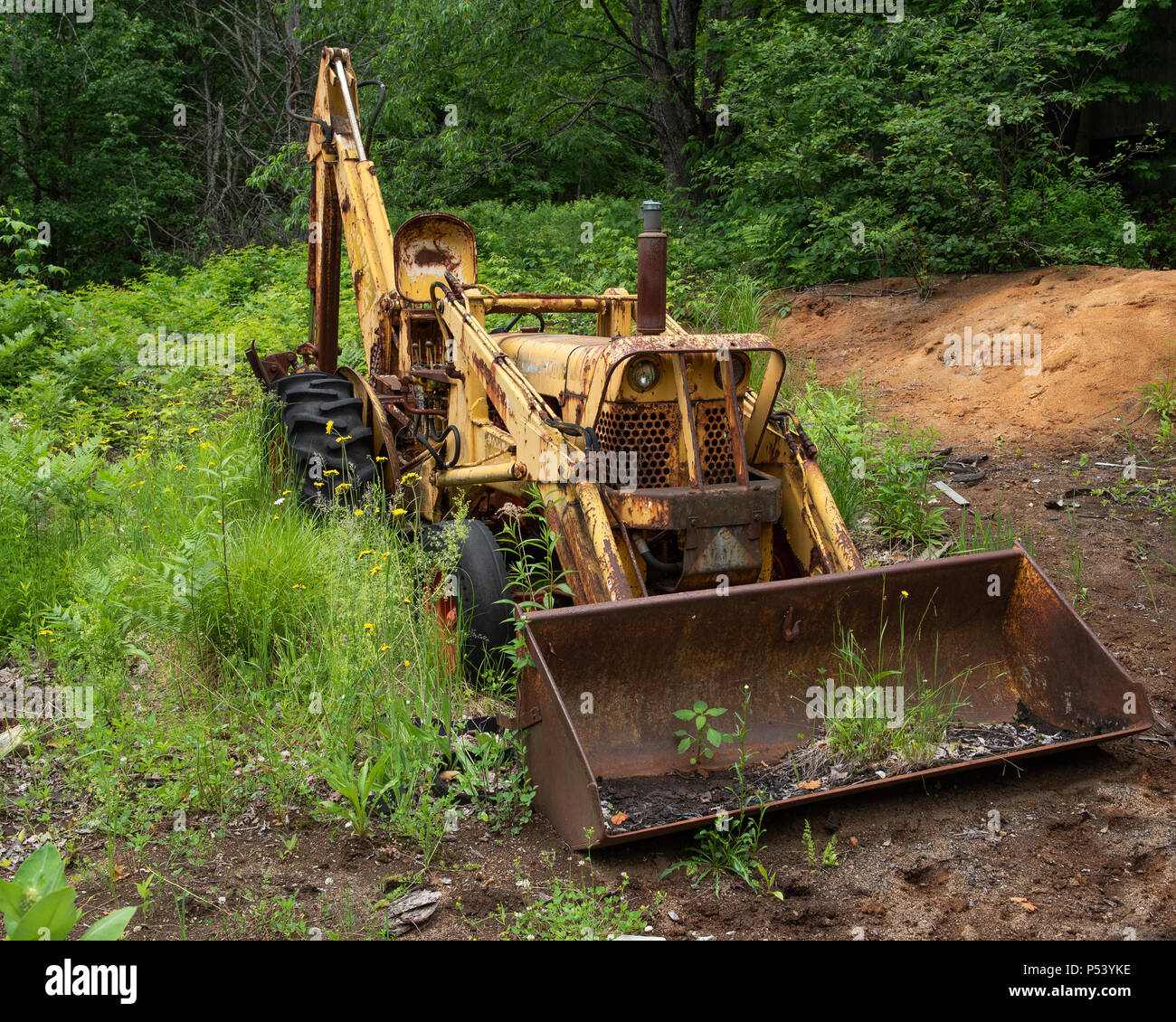 Un viejo oxidado excavadora amarilla estacionada en los bosques de las montañas Adirondack, Nueva York EE.UU. Foto de stock