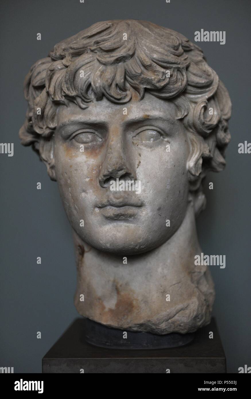 Antínoo (110-130). Los miembros de la comitiva del emperador romano Adriano, a quien él era amado. Busto. Mármol. Fecha c. 130. Carlsberg Glyptotek Museum. Copenhague. Dinamarca. Foto de stock