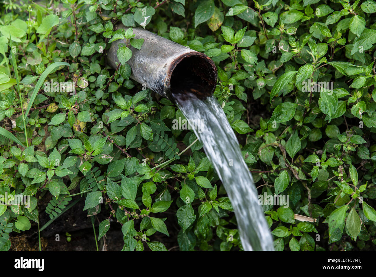 Fuente natural de agua potable en el municipio de Icod El Alto (isla de  Tenerife) España Fotografía de stock - Alamy