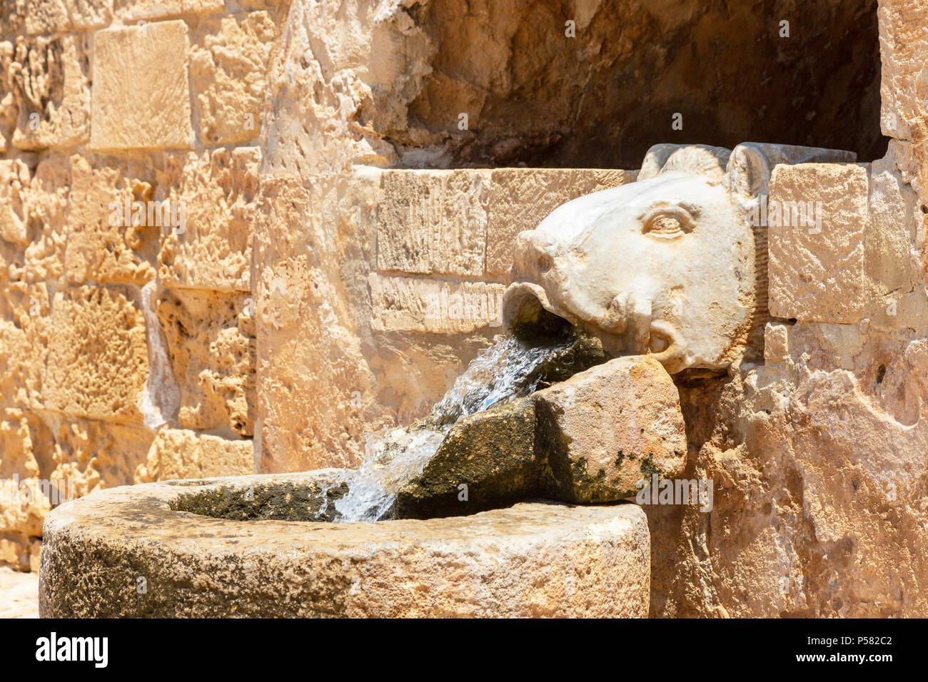 Un pozo de agua fresca que se ejecutan a través de un jabalí estatua en un pilón de piedra, Agia Napa, Ayia Napa Monasterio, Ayia Napa, Chipre Foto de stock