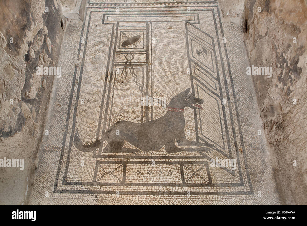 Perro representado en el mosaico romano de Cave canem (Cuidado con el perro) en la Casa de Paquius Proculus (Casa di Paquius Proculus) en el sitio arqueológico de Pompeya (Pompei) cerca de Nápoles, Campania, Italia. Foto de stock