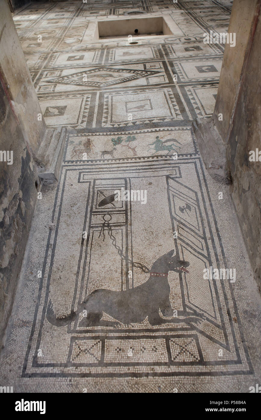 Perro representado en el mosaico romano de Cave canem (Cuidado con el perro) en la Casa de Paquius Proculus (Casa di Paquius Proculus) en el sitio arqueológico de Pompeya (Pompei) cerca de Nápoles, Campania, Italia. Foto de stock