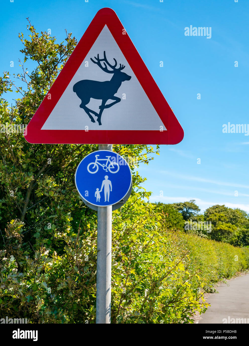 Un triángulo rojo de advertencia para estar atento a la señalización para los ciervos, los niños y los ciclistas en una carretera rural en día soleado con el cielo azul, East Lothian, Escocia, Reino Unido Foto de stock