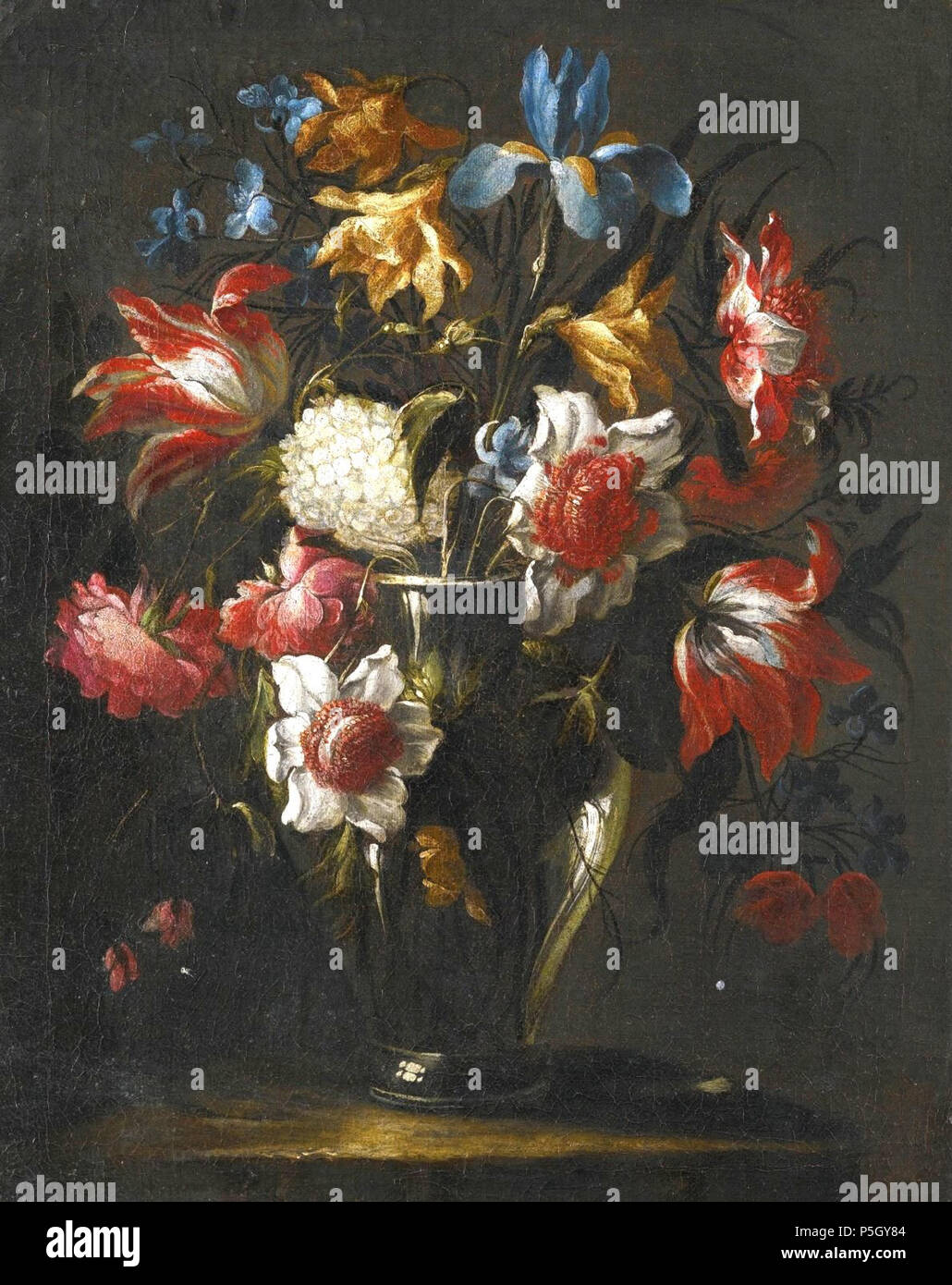 N/A. Inglés Blue Parrot Iris tulipanes, anémonas, peonías y otras