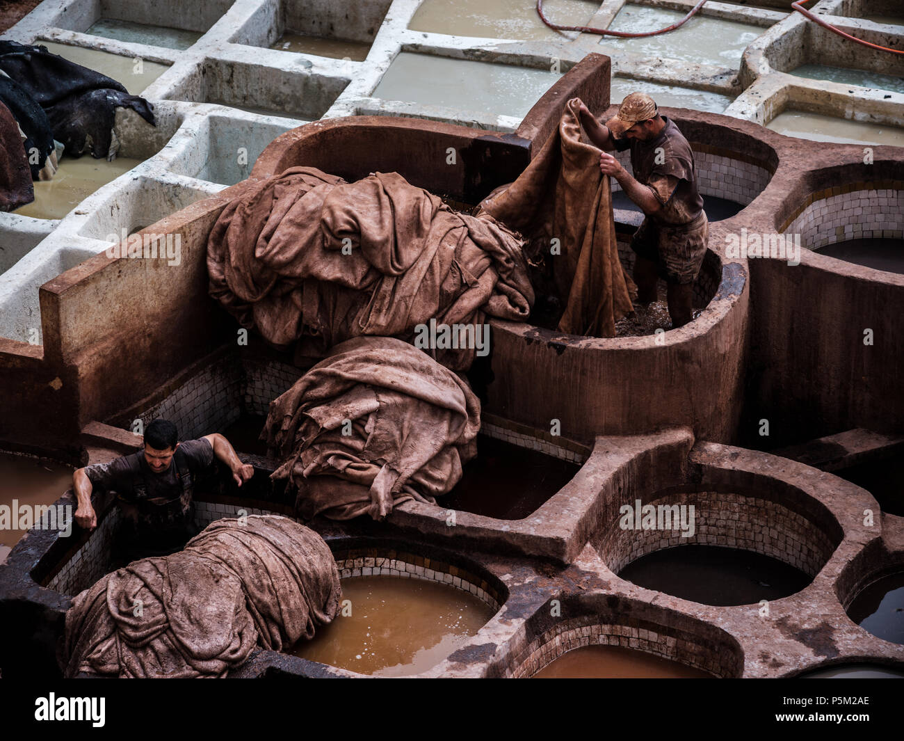 FEZ, Marruecos - alrededor de abril de 2017: los hombres trabajan en el fez curtiduría la coloración de la piel. Foto de stock