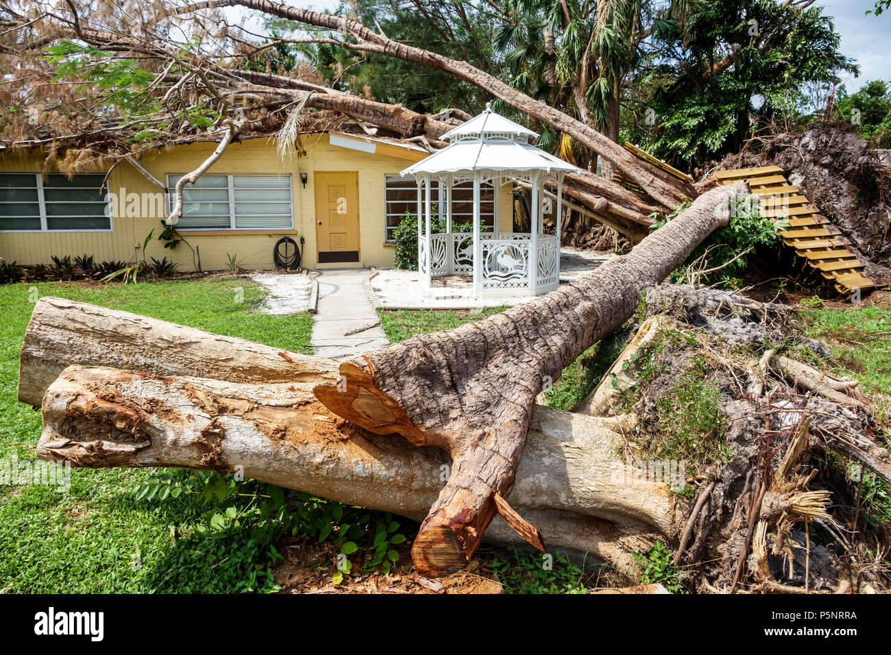 Fort Ft. Myers Florida, casa casas residencia, daños de tormenta destrucción secuelas, árbol caído huracán Irma, techo dañado, tronco de árbol, FL17092 Foto de stock