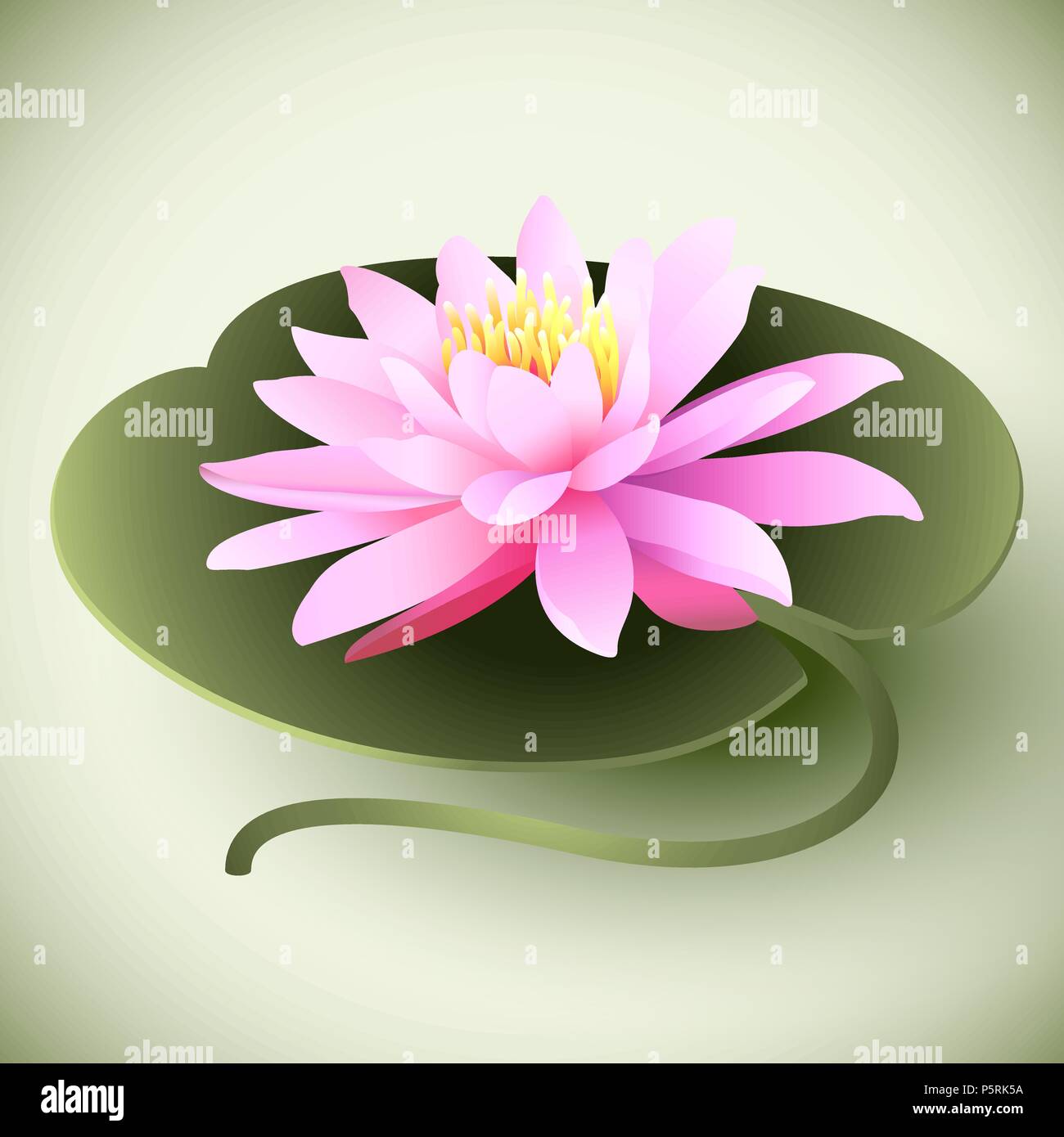 Flor de Loto en la hoja sobre fondo de colores. Ilustración vectorial Imagen Vector de stock - Alamy Flor de Loto en la hoja sobre fondo de colores. Ilustración vectorial Imagen Vector de stock - Alamy