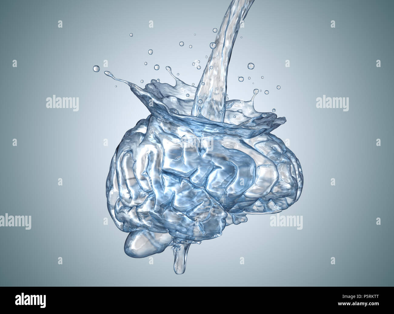 El cerebro está lleno de agua.3D ilustración Foto de stock