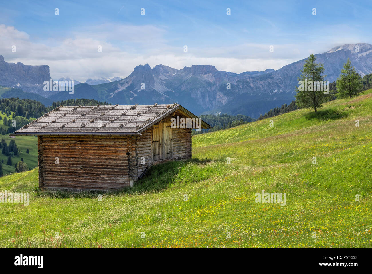 Ortisei, Alpe di Siusi, dolomitas, Trentino, Alto Adige, Italia, Europa Foto de stock