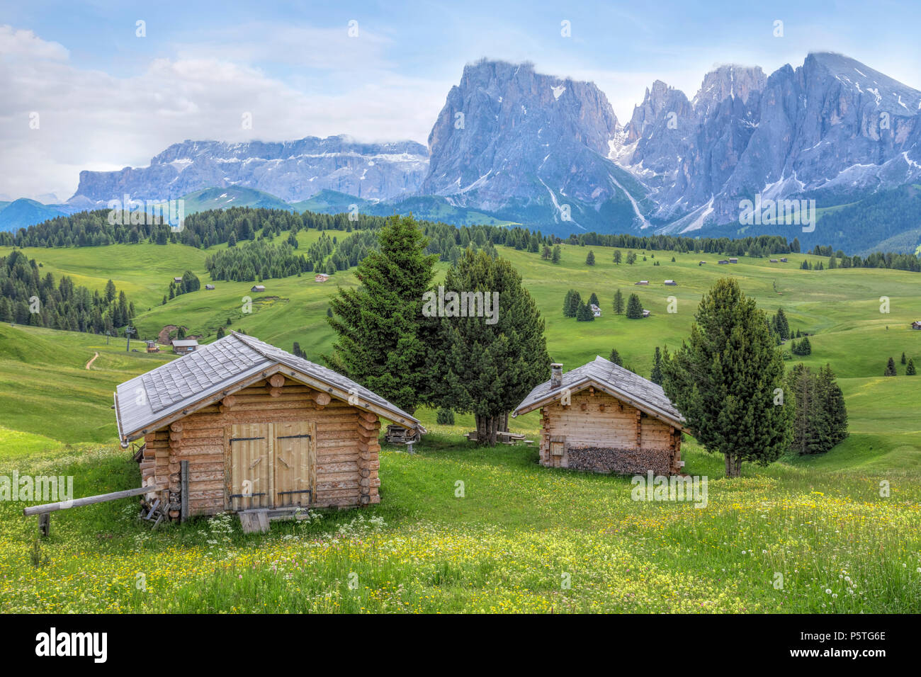 Ortisei, Alpe di Siusi, dolomitas, Trentino, Alto Adige, Italia, Europa Foto de stock