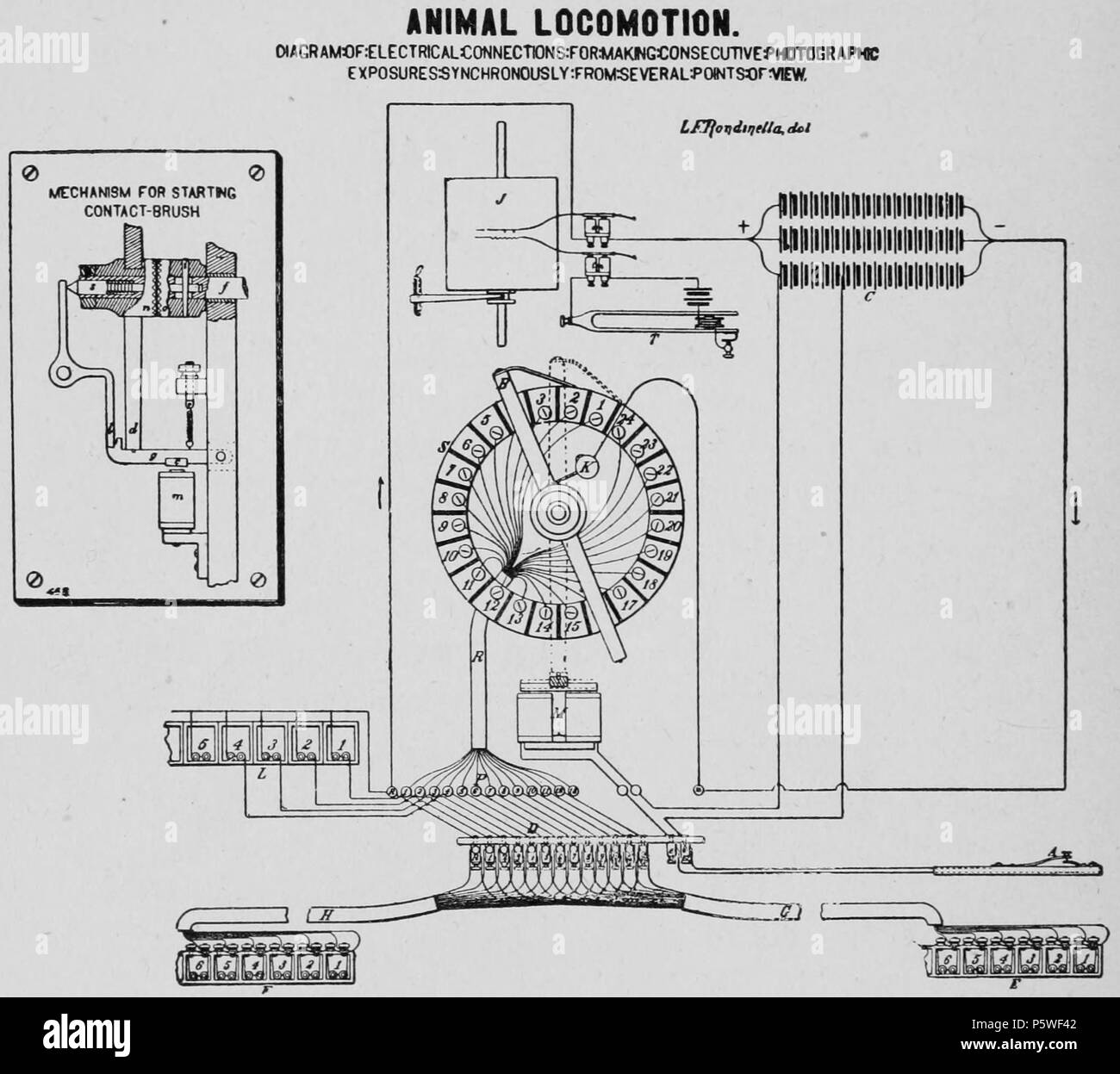 N/A. Inglés: El diagrama de conexiones eléctricas para hacer exposiciones  fotográficas consecutivas sincrónicamente desde varios puntos de vista.  1893. Eadweard Muybridge (1830-1904) Nombres alternativos Edward James  Muggeridge Descripción English ...