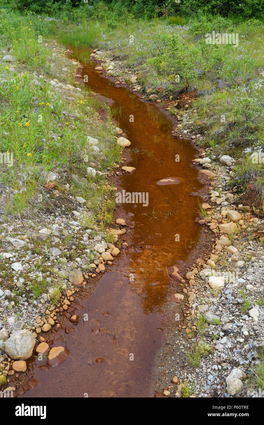Flujo marrón rojizo llevando agua rica en yacimientos de hierro. Foto de stock