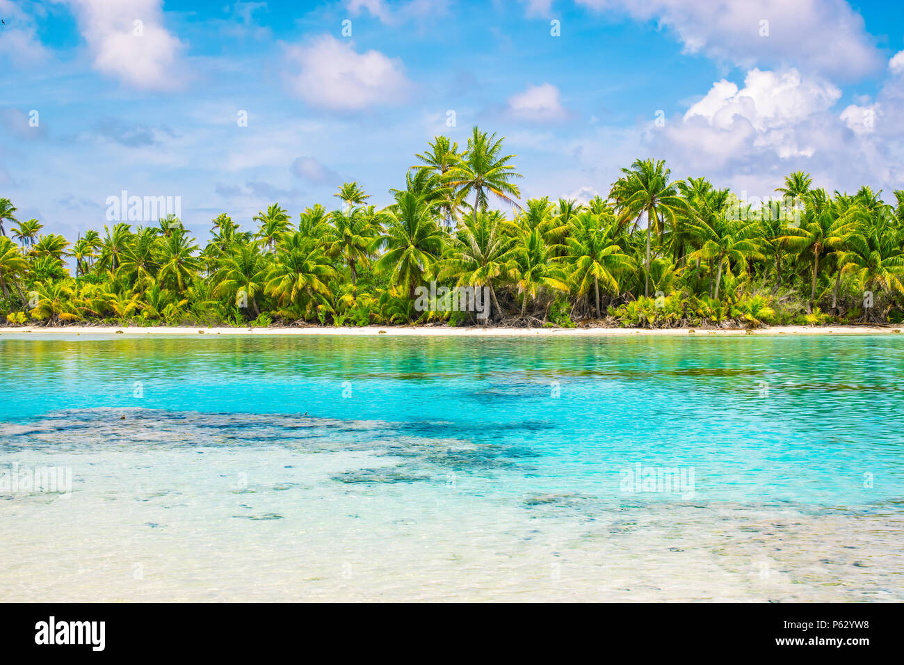 Palmeras tropicales y laguna de Fakarava, Polinesia Francesa. Concepto de vacaciones de verano. Foto de stock