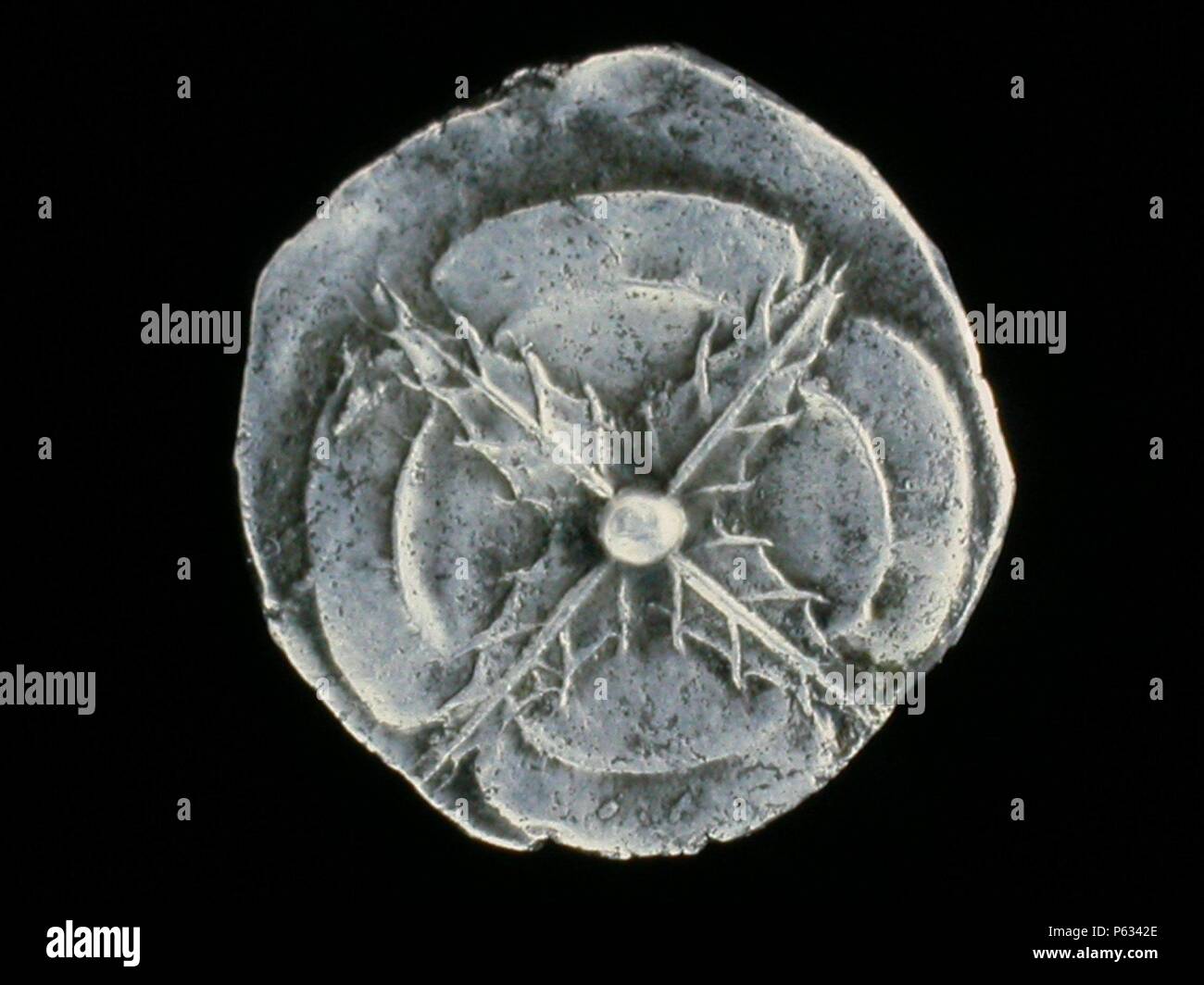 NUMISMATICA. MONEDA hispano-griega. DRACMA DE PLATA. REVERSO. ROSA VISTA POR DEBAJO. 218 A.C. (Tu depósito: MUSEO ARQUEOLOGICO NACIONAL). Foto de stock