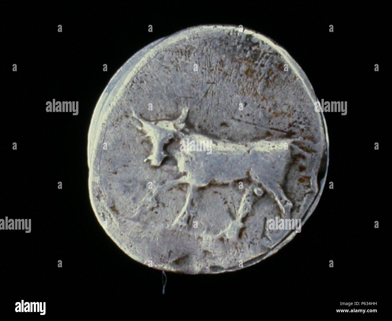 NUMISMATICA. MONEDA púnica. DRACMA DE PLATA. REVERSO. TORO AVANZANDO A LA IZQUIERDA CON LA CABEZA DE FRENTE.238 A.C. (Tu depósito: MUSEO ARQUEOLOGICO NACIONAL). Foto de stock