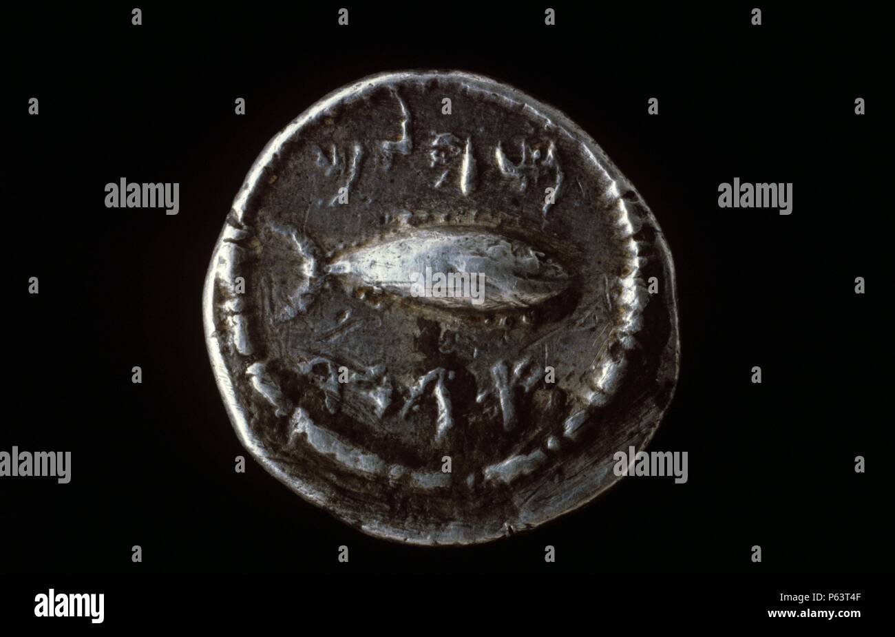 NUMISMATICA. MONEDA púnica. DRACMA DE PLATA. REVERSO. ATUN A LA DERECHA. 238 A.C. (Tu depósito: MUSEO ARQUEOLOGICO NACIONAL). Foto de stock