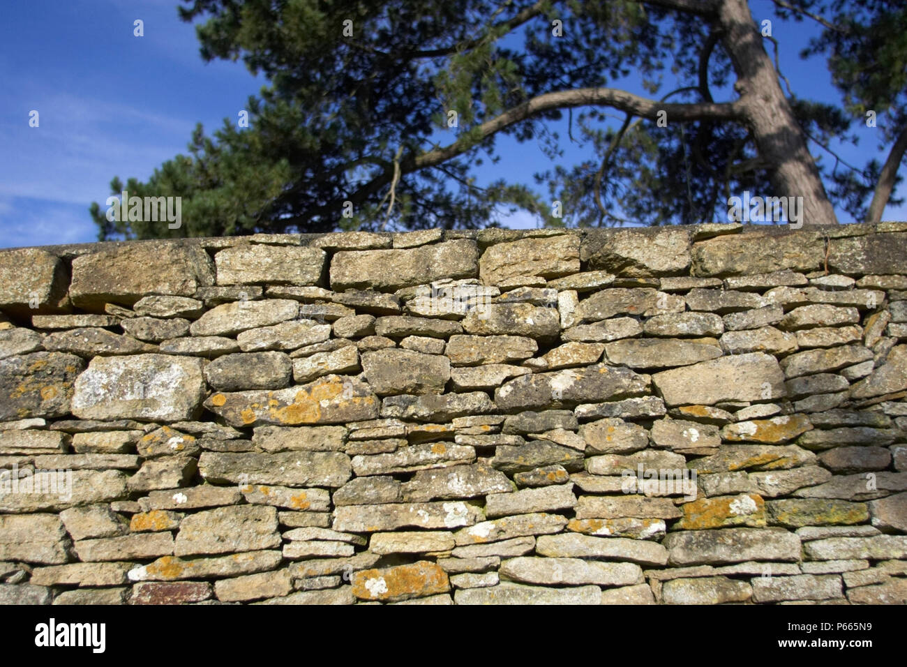 Albarrada construida con piedras Somerset Mendip, Somerset, Inglaterra, Reino Unido. Foto de stock