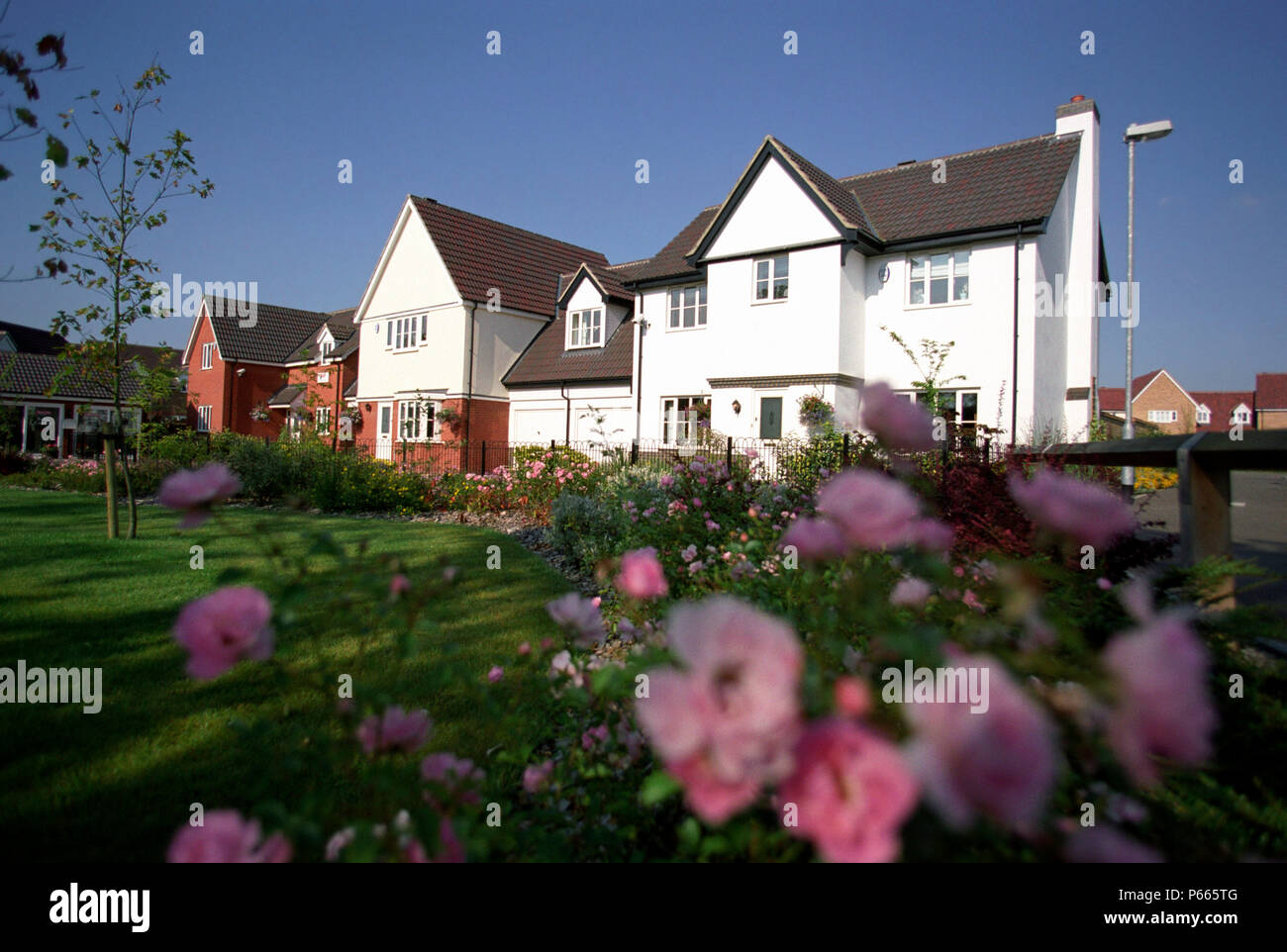 Nuevo desarrollo, East Anglia, Inglaterra. Foto de stock