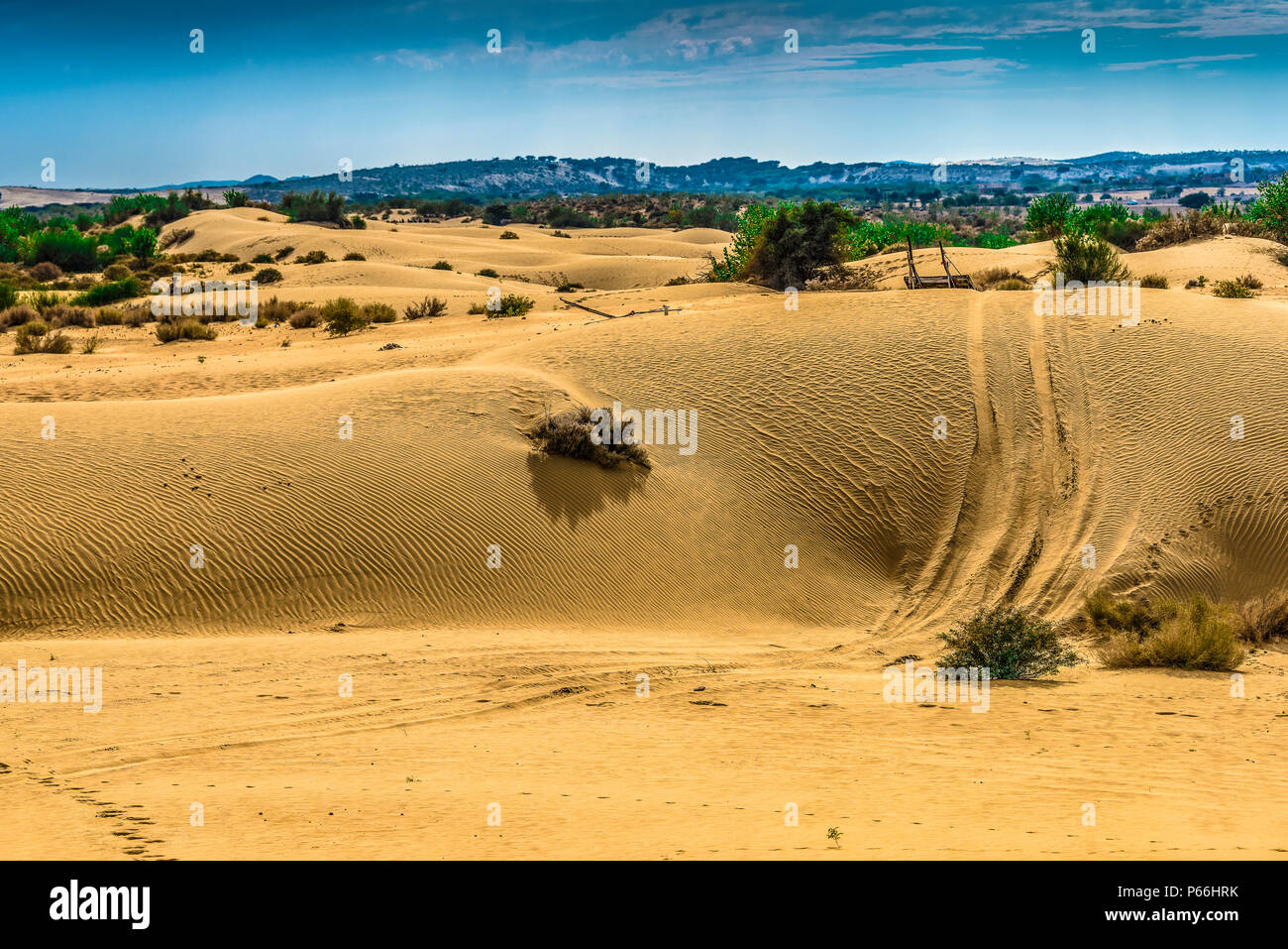 Desierto de Thar DE RAJASTHAN INDIA Foto de stock