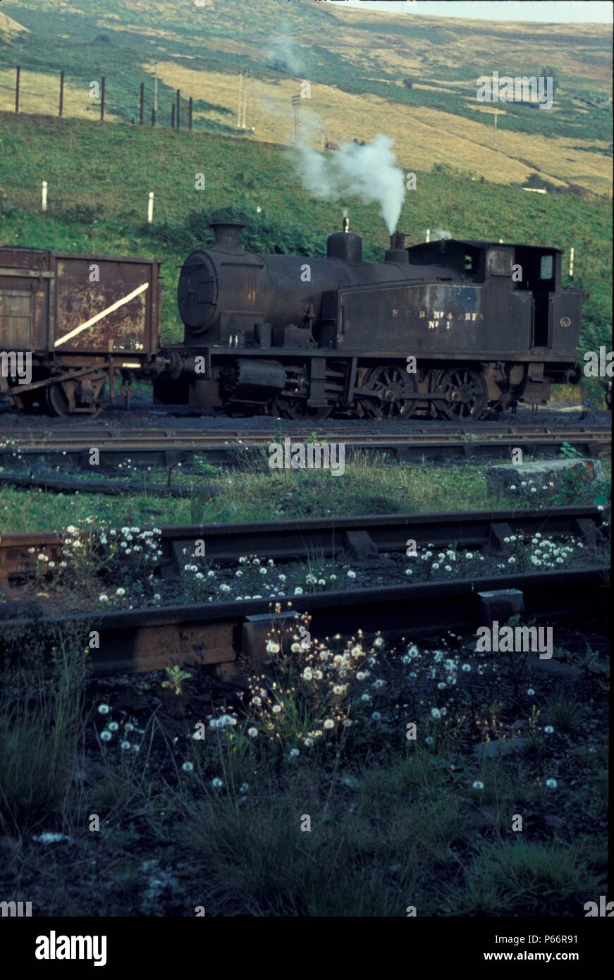En Merthyr Colliery, Vale Aberfan en Mid Glamorgan, Gales del Sur, con el nº1, un 0-6-0T construido por Andrew Barclay de Kilmarnock en 1953. En 1966, uno de los c Foto de stock