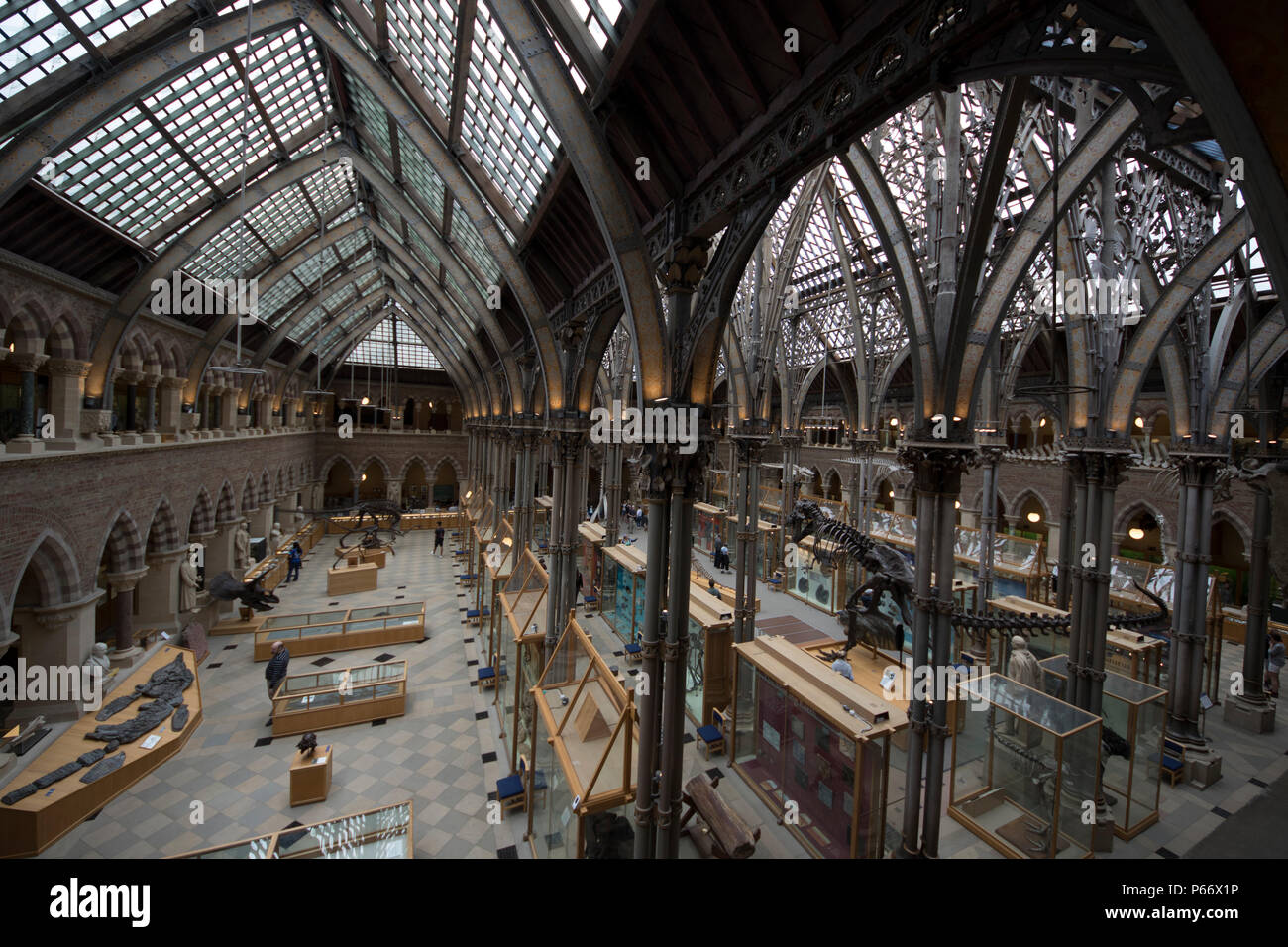 La Universidad de Oxford, el Museo de Historia Natural Foto de stock