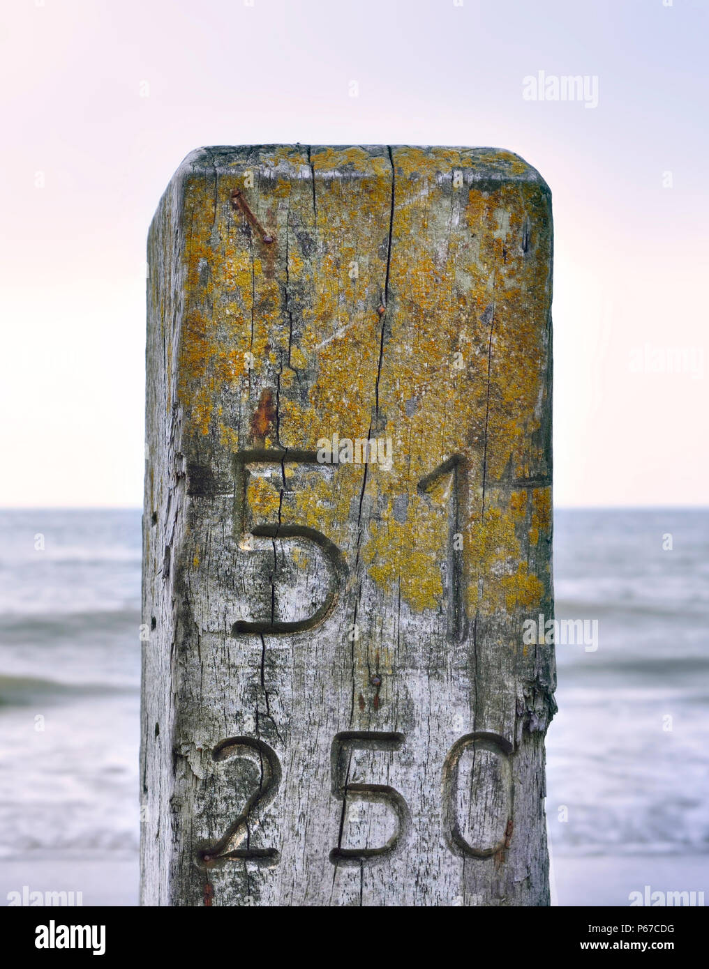 Poste de madera en la playa con una suave luz y espacio de copia. Foto de stock