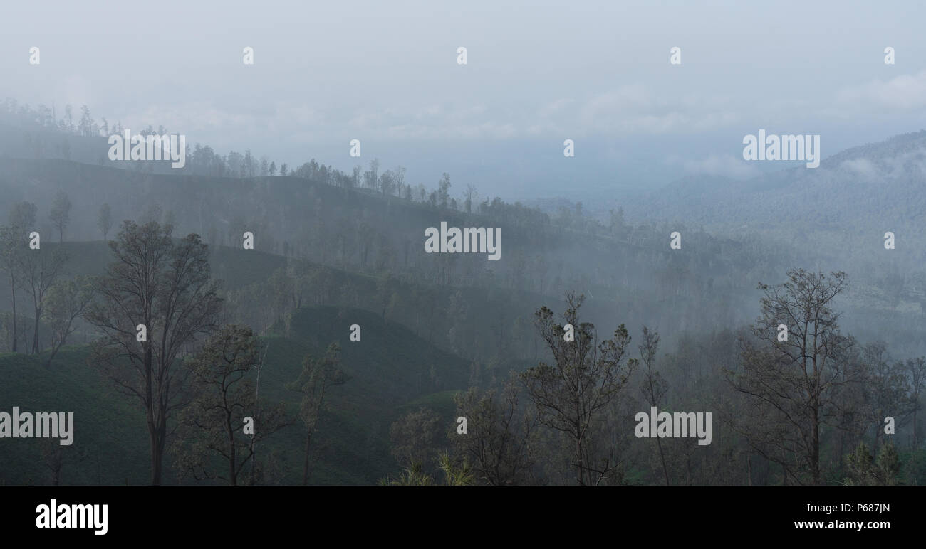 La contaminación del aire, el smog sobre los bosques cerca de kawah Ijen en Indonesia volcánica Foto de stock