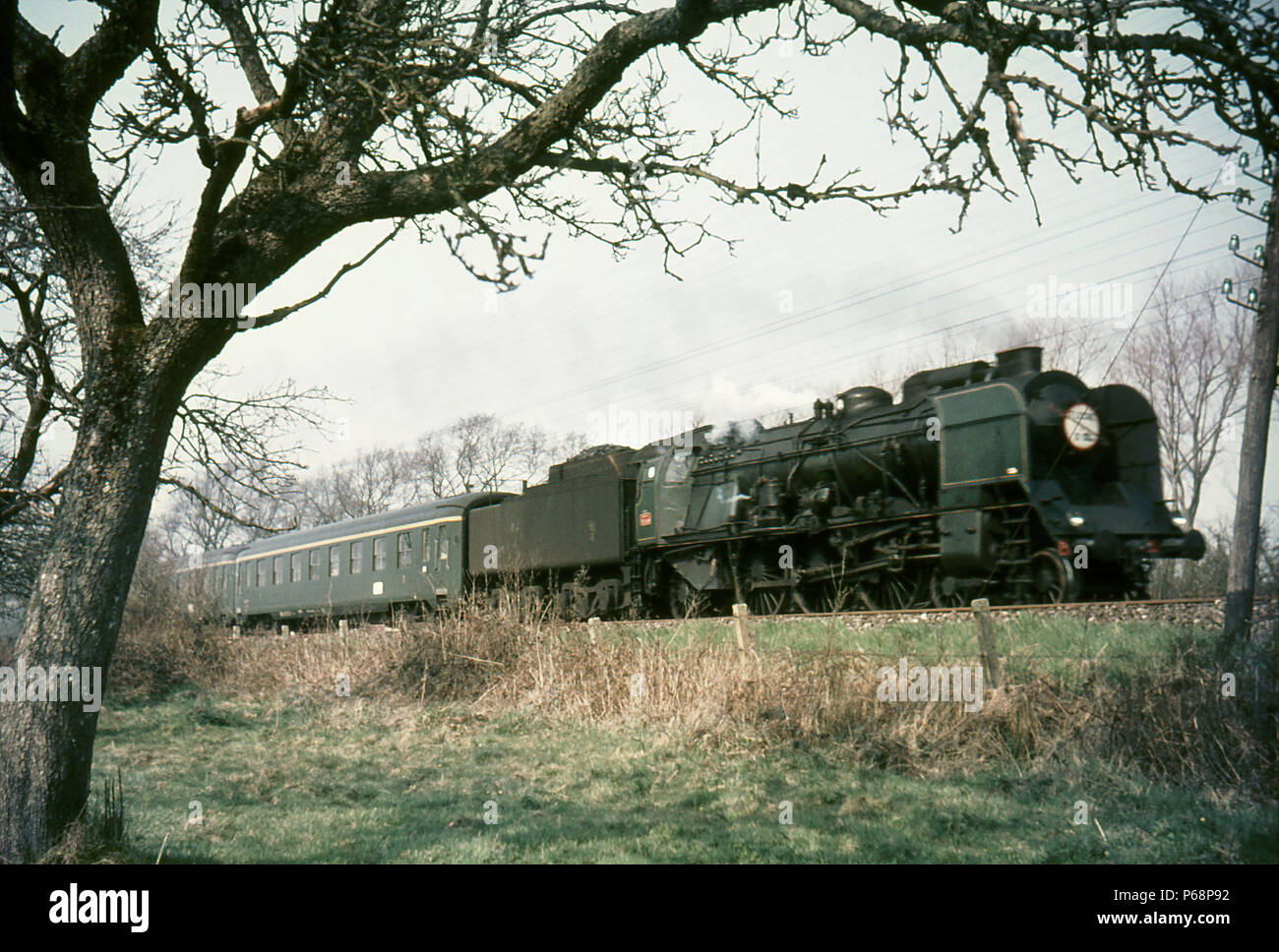 Hacia el sur La Fleche D'or" ( Golden Arrow) encabezada por un pacífico SNCF 231G pasa un huerto de manzanas al sur de Rang-Du-volantes el sábado 13 de abril de 1968. Foto de stock