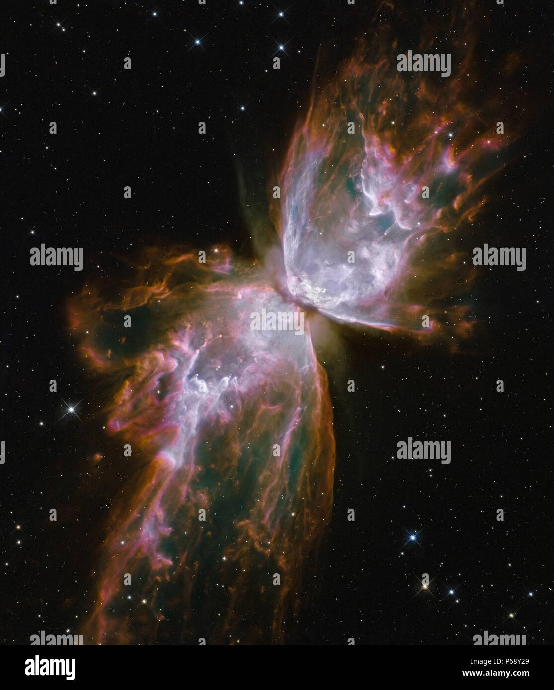 Emerge en forma de mariposa de desaparición estelar en la nebulosa planetaria NGC 6302. Foto tomada por el telescopio Hubble. Fecha 2009 Foto de stock