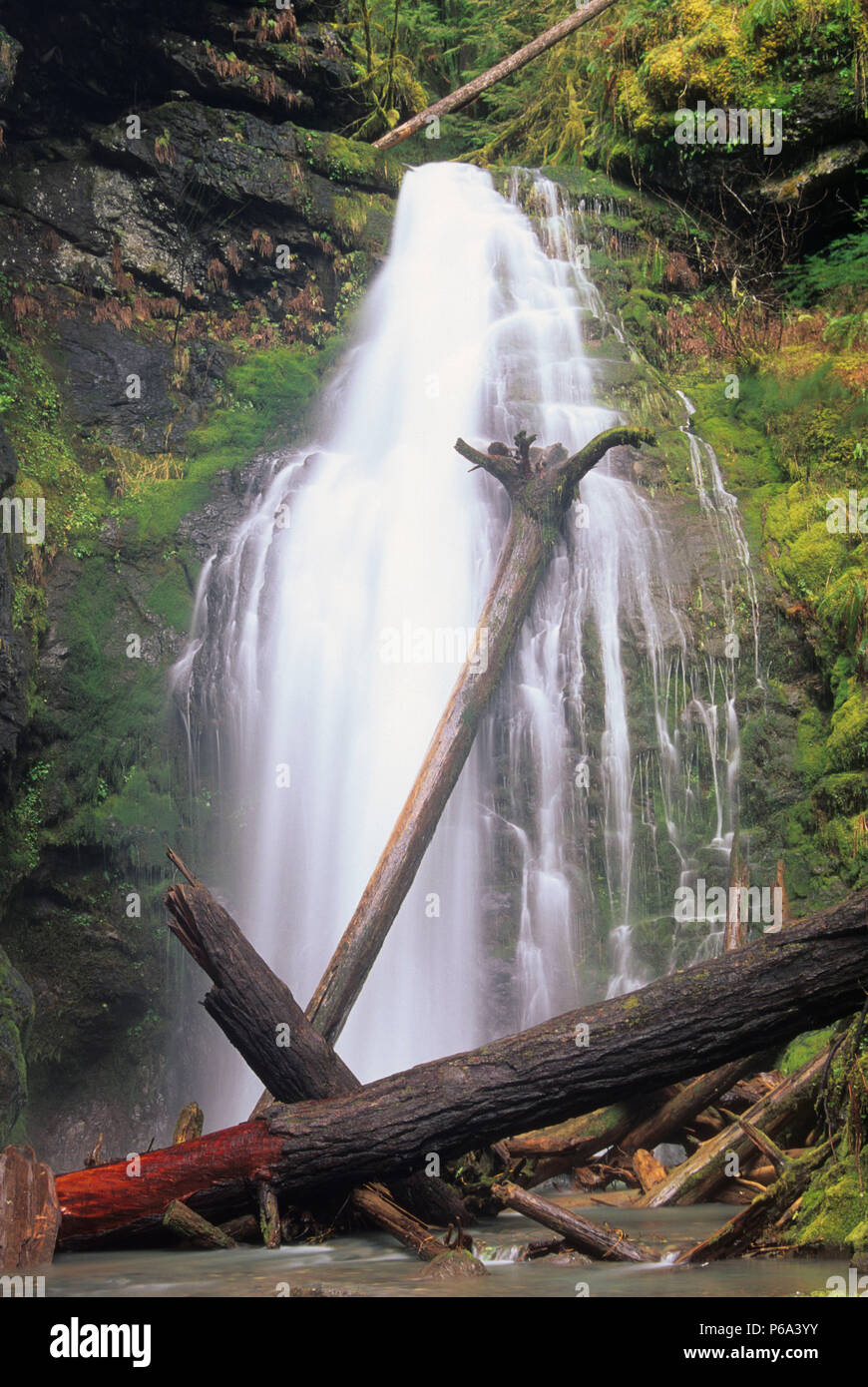 Caballete Falls, Umpqua National Forest, Oregón Foto de stock