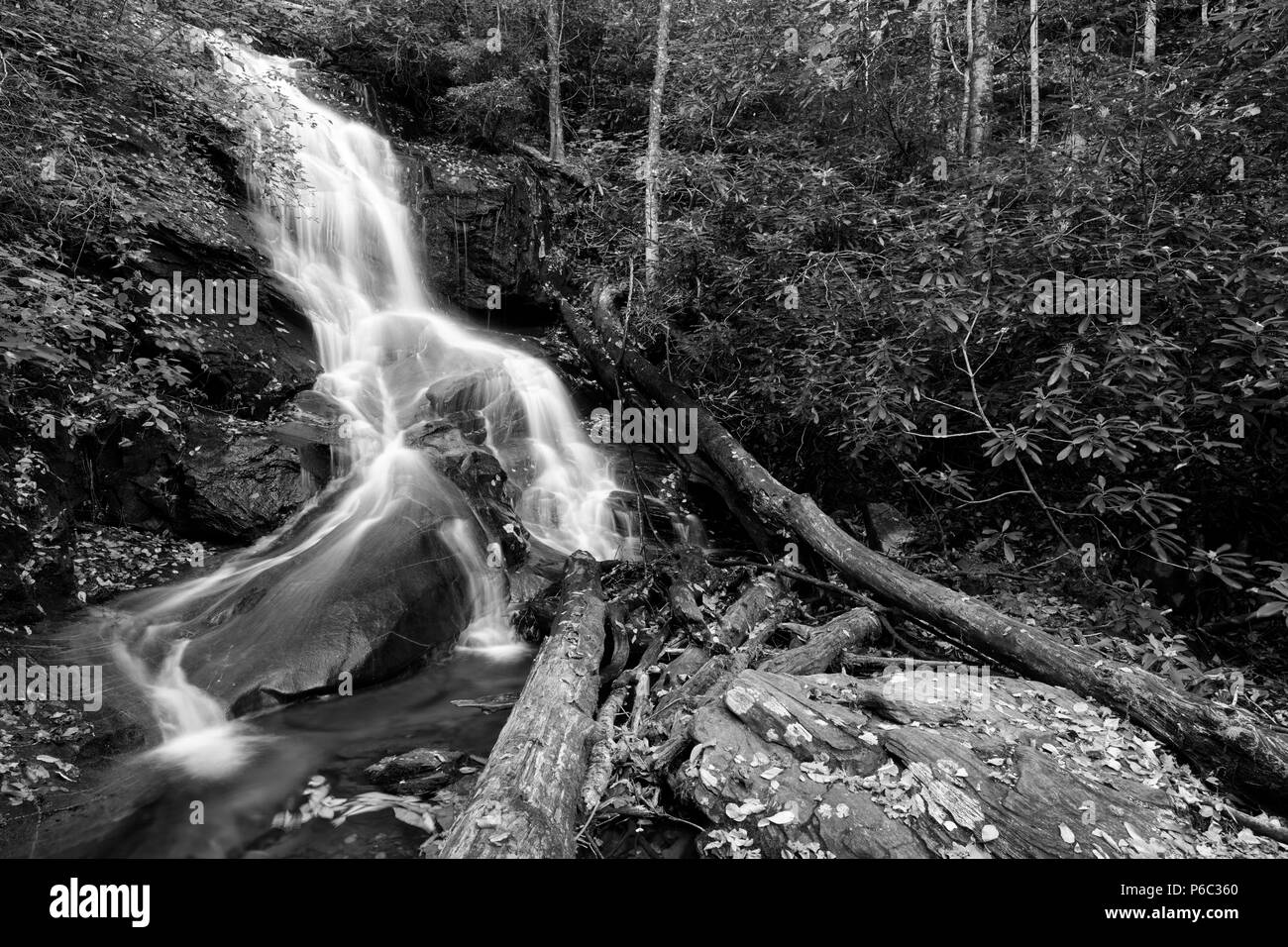 A principios de otoño tarde en el hueco del Registro corresponde al norte de Brevard, Carolina del Norte en la Autopista 276 sur de la Blue Ridge Parkway. Foto de stock