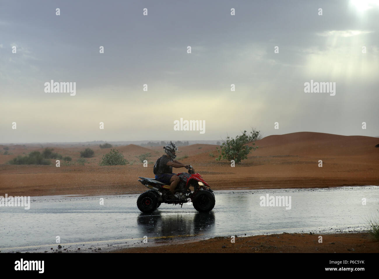 Dubai, Emiratos Árabes Unidos, quad jinete en la lluvia en el desierto Foto de stock