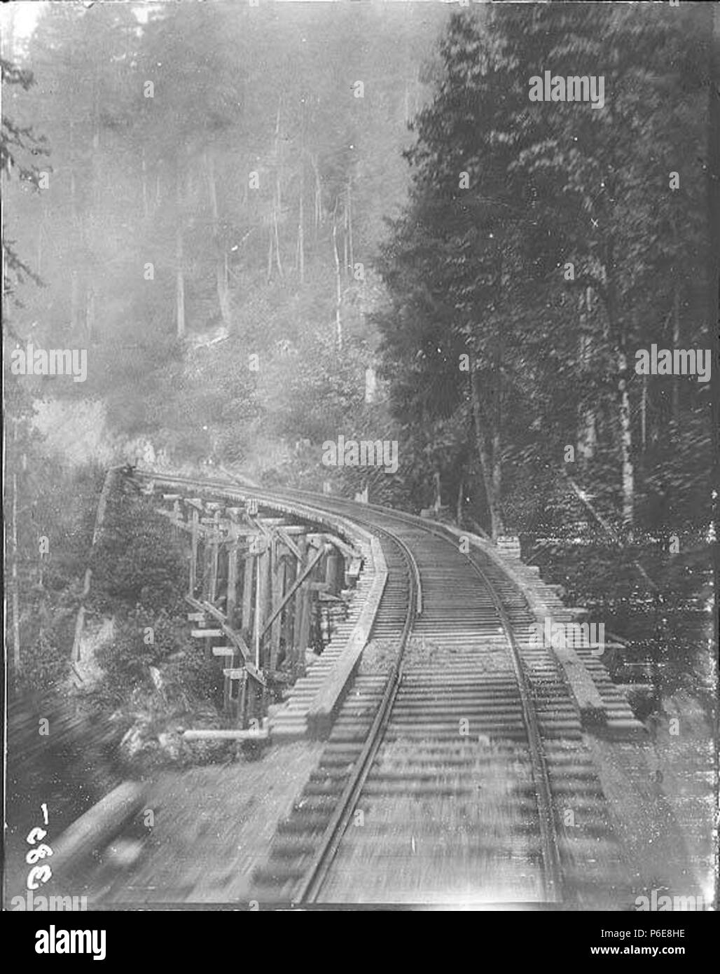 . Inglés: Tacoma este puente de ferrocarril a través de Nisqually Canyon, ca. 1899 . Inglés: PH Coll 35.251 sujetos (LCTGM): cañones--Washington (Estado); puentes de ferrocarril--Washington (Estado) sujetos (LCSH): Nisqually Canyon (Wash.) . circa 1899 76 Tacoma este puente de ferrocarril a través de Nisqually Canyon, ca 1899 (SARVANT 38) Foto de stock