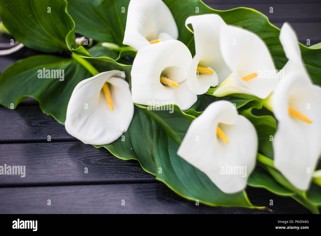 Hermosas calas blancas en un ramo sobre fondo rústico Fotografía de stock -  Alamy