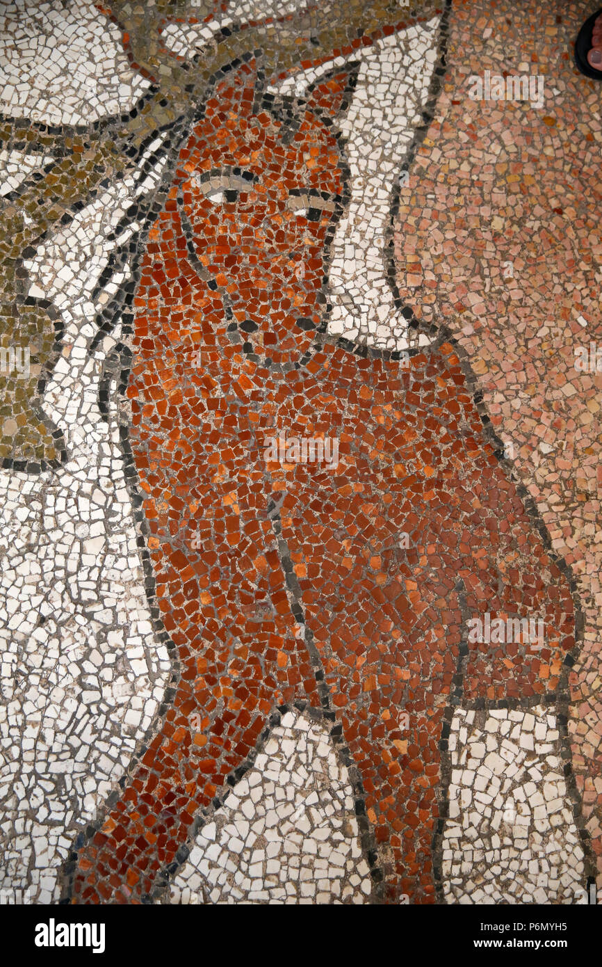 Detalle de los mosaicos en el piso de Otranto Duomo (catedral), Italia. Foto de stock