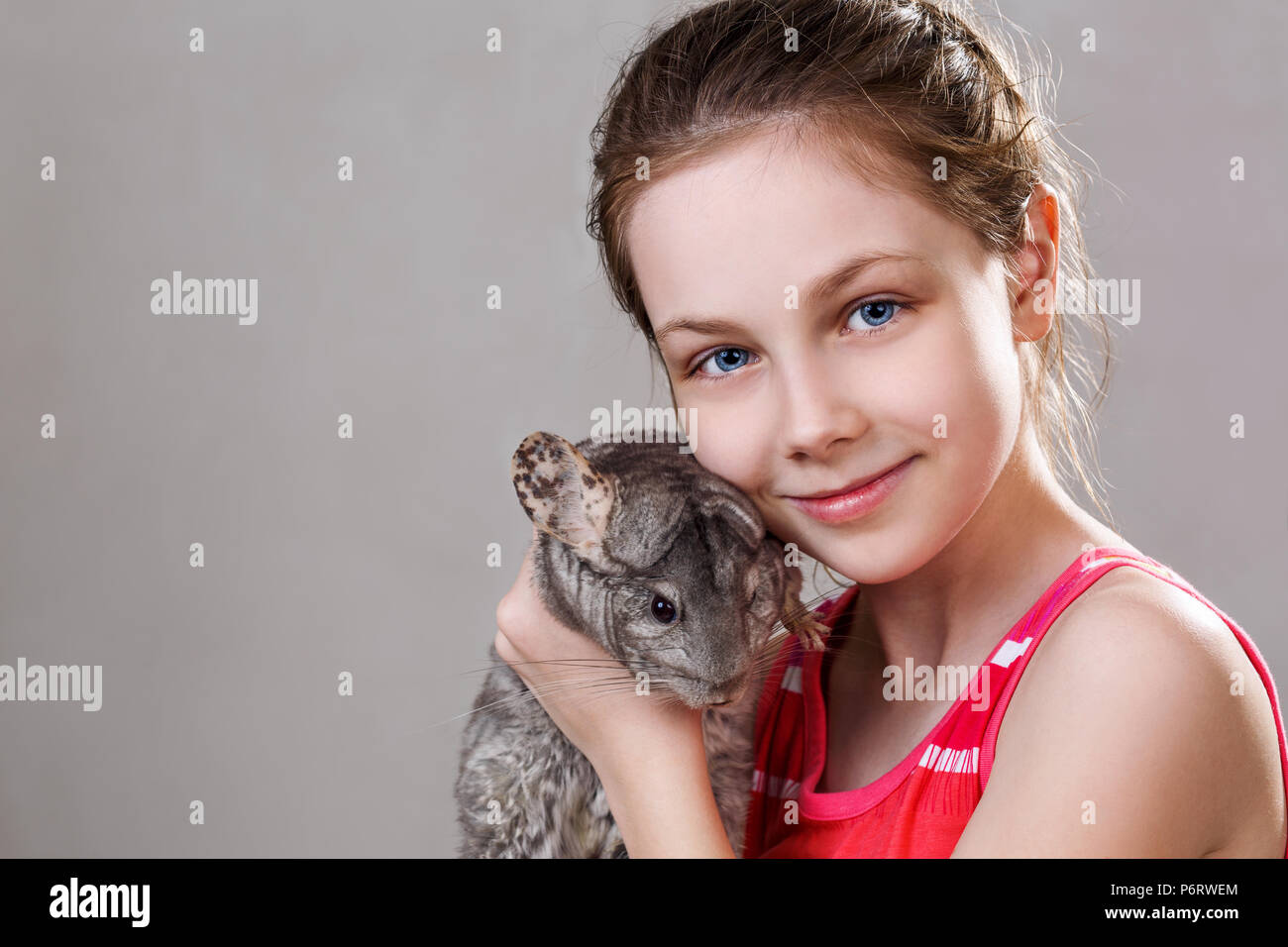 Linda niña sonriente sostiene gracioso chinchilla gris. Foto de stock
