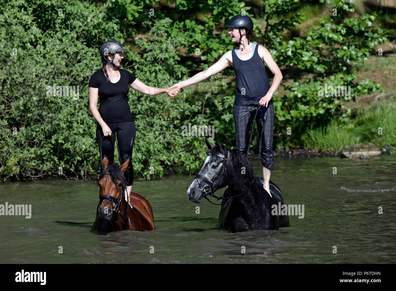 Oberoderwitz, las mujeres jóvenes de pie sobre sus caballos en un lago Foto de stock