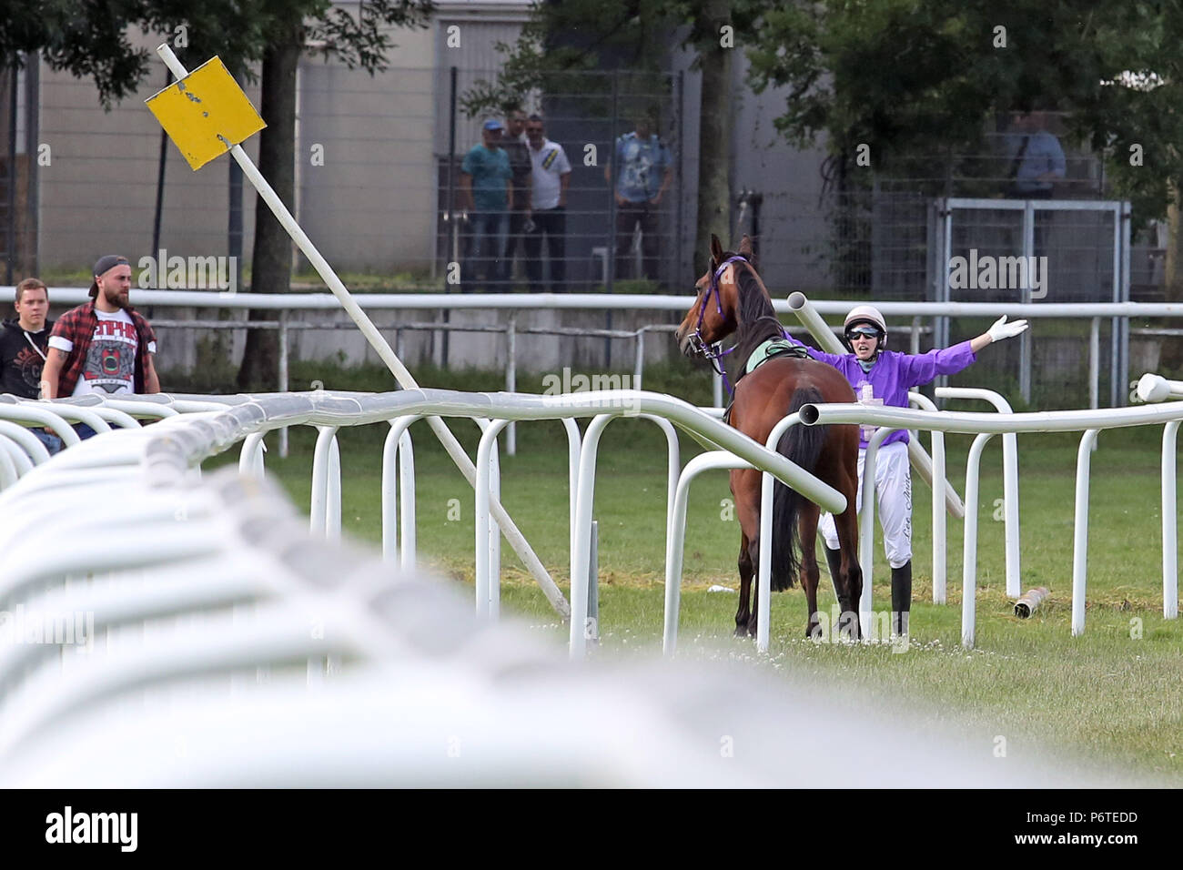Hamburgo, caballo y jinete se interponen entre los rieles Foto de stock