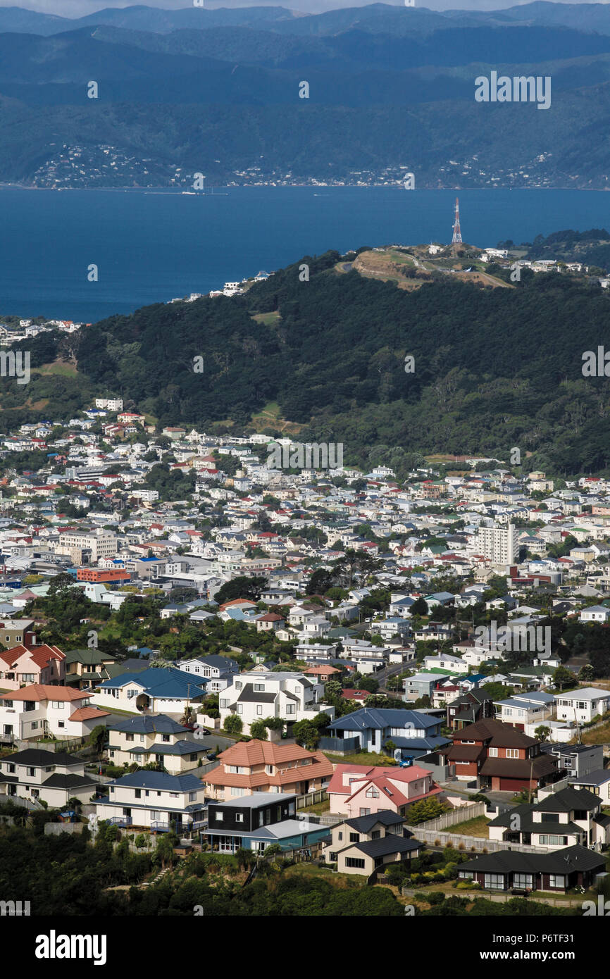 Vista de las casas y el puerto de Wellington en Wellington, Nueva Zelanda Foto de stock