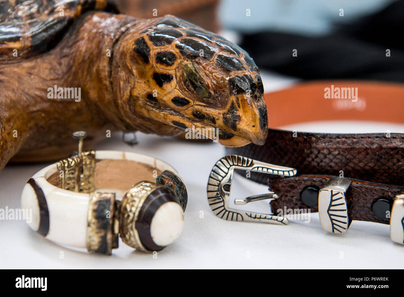 03 de julio de 2018, Alemania, Hamburgo: una tortuga de peluche, amenazada  de extinción, joyas de marfil y una correa de cuero de especies amenazadas  acostado en una mesa en un aeropuerto.