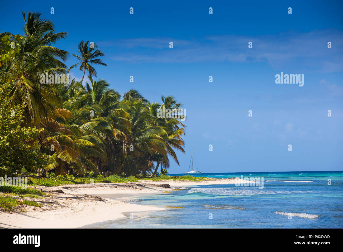 República Dominicana, Punta Cana, Parque Nacional del Este, Isla Saona, Playa Catuano Foto de stock