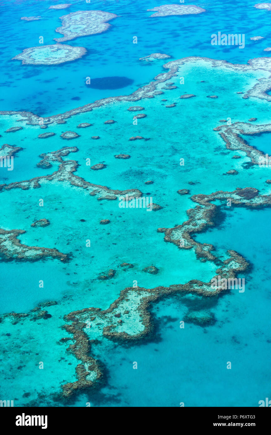 Corazón de coral en la Gran Barrera de Coral desde arriba, Queensland, Australia. Foto de stock