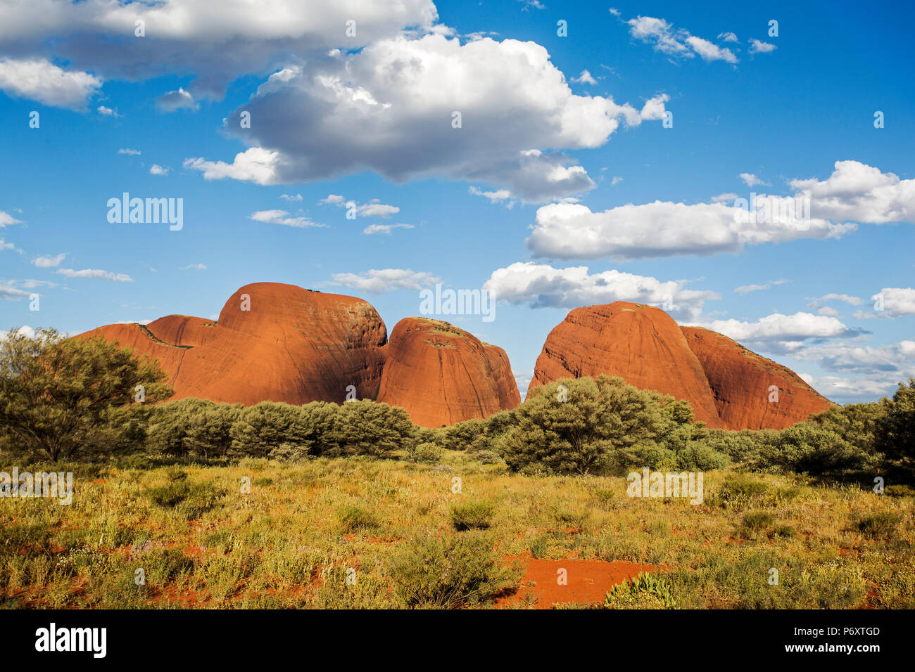 Kata Tjuta Centro Rojo. El Territorio del Norte, Australia Foto de stock
