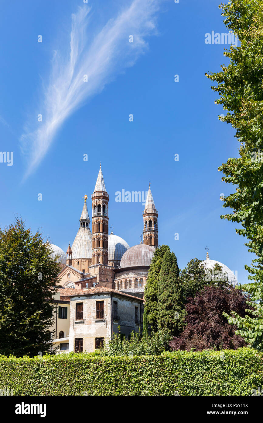 Italia, Italia. Veneto. Distrito de Padua. Padua Padua. Basílica de San ...